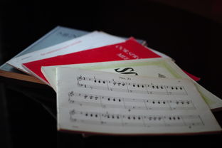 mk体育官方网站-中小学体育课程内容优化实践，中小学体育课程一体化研究