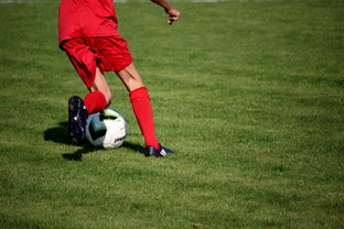 mk体育app下载-篮球运动员心理素质测评体系构建，篮球运动员心理素质的重要性